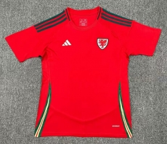 24-25 Wales Home Red Thailand Soccer Jersey AAA