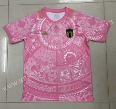 2023-2024 Special Version Italy Pink Thailand Soccer Jersey AAA-305