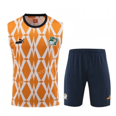 2023-2024 Ivory Coast Yellow Thailand Soccer Vest Uniform -4627