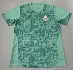 （s-4xl） 2026-27  SE Palmeiras goalkeeper Green Thailand Soccer Jersey AAA-5668