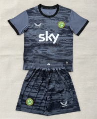 2026-2027 Ireland Goalkeeper Gray Soccer Uniform-AY